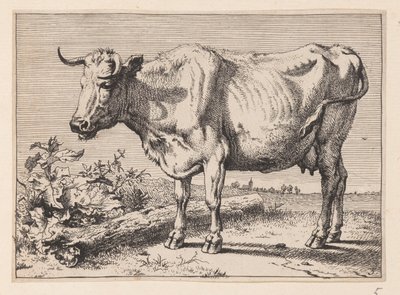  by Paulus Potter