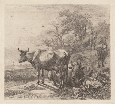 Çoban by Paulus Potter