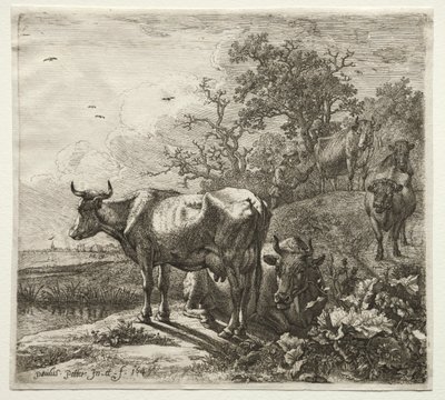 Çoban by Paulus Potter
