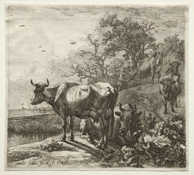 Çoban. by Paulus Potter