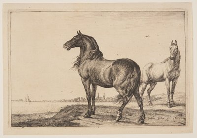  by Paulus Potter