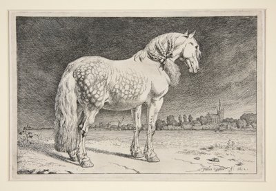 Friesland Atı by Paulus Potter