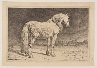  by Paulus Potter