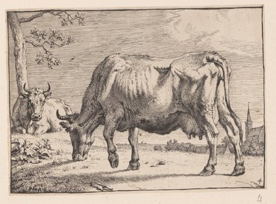  by Paulus Potter