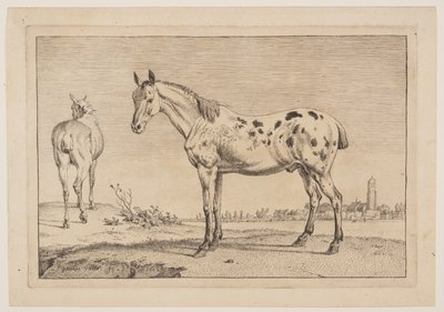  by Paulus Potter