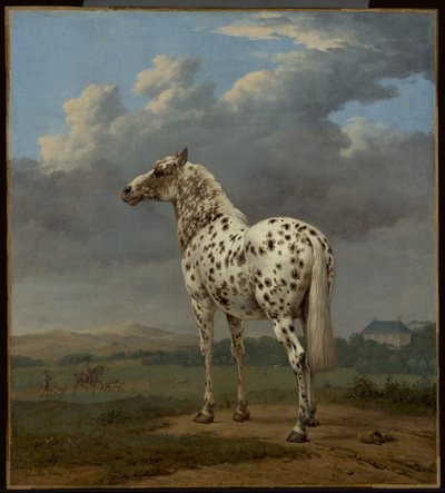  by Paulus Potter