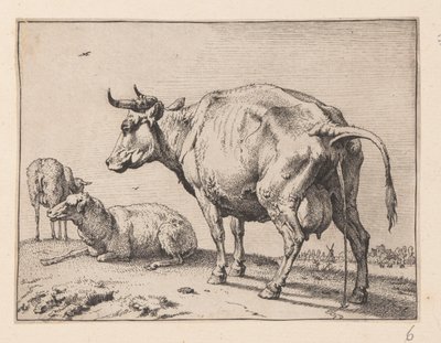 by Paulus Potter