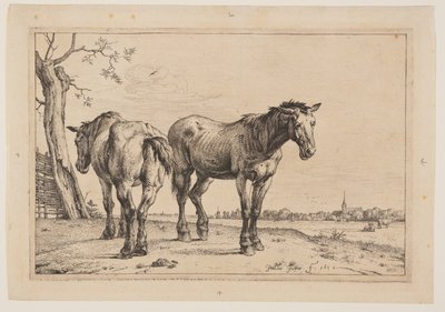  by Paulus Potter
