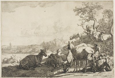 Çoban by Paulus Potter