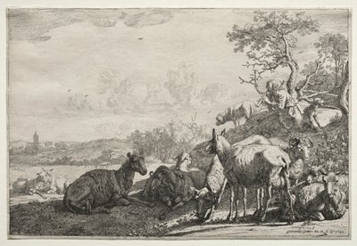 Çoban, 1644. by Paulus Potter