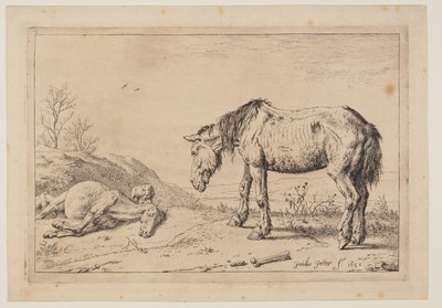 by Paulus Potter