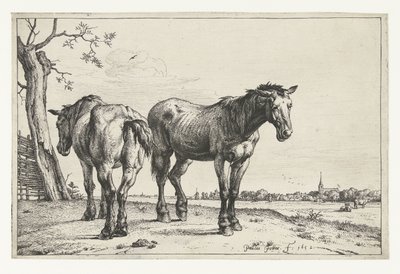 iki pulluk atı Atlar (dizi adı) by Paulus Potter