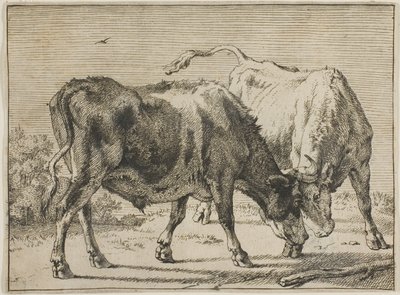 Dövüşen İki Boğa by Paulus Potter