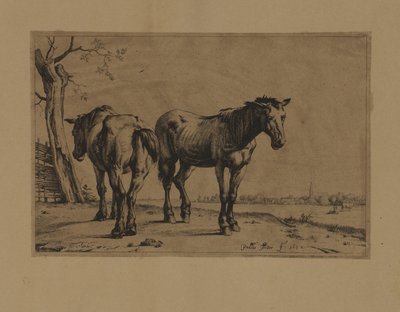  by Paulus Potter