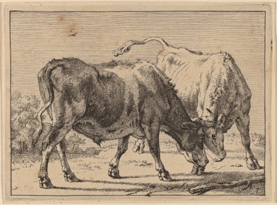 İki Öküz Dövüşü by Paulus Potter