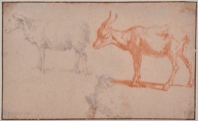 İki Koyun ve Keçi (hayvan çalışmaları) by Paulus Potter