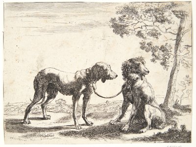 Birbirine bağlı iki köpek by Paulus van Hillegaert (II)