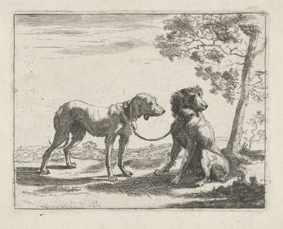 İki köpek Köpekler (dizi adı) by Pauwels van Hillegaert