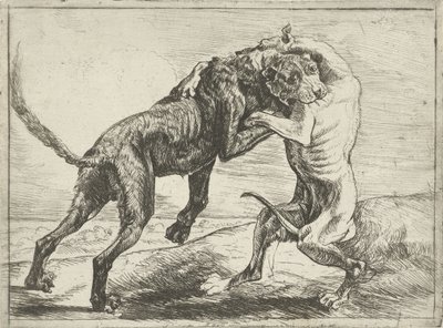 iki dövüş köpeği Köpekler (dizi adı) by Pauwels van Hillegaert