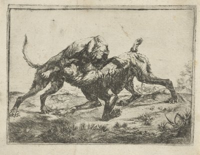 dövüş köpekleri by Pauwels van Hillegaert