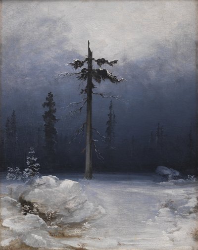 Bir Kış Ormanında Ağaç by Peder Balke
