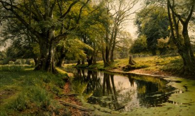 Ormanda durgun su by Peder Monsted