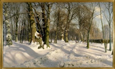 Güneş ışığında karlı kış ormanı by Peder Monsted