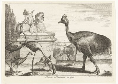 Cassowaries, mor coot ve flamingolar 1. Bleuets 2 Becharoux 3. Casuels (nesne üzerindeki başlık) Versay Hayvanat Bahçesi