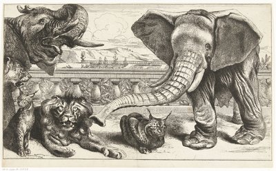 Versay bahçelerinde filler, aslanlar ve vaşaklar by Peeter Boel (attributed to)
