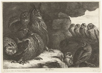 Ducs mağarasındaki baykuşlar (nesne üzerindeki başlık) Versailles hayvanat bahçesinden kuşlar (seri başlığı) by Peeter Boel (attributed to)