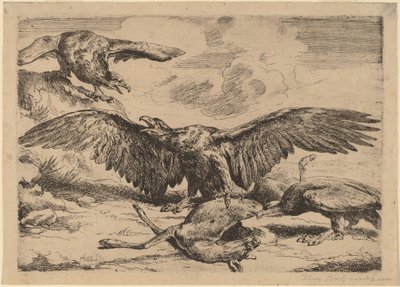 kartallar by Peeter Boel