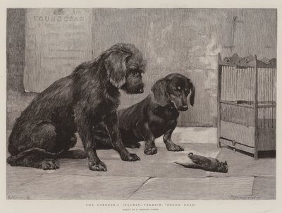 Adli Tıp Kurumu, Karar, Ölü Bulundu by Percy Harland Fisher