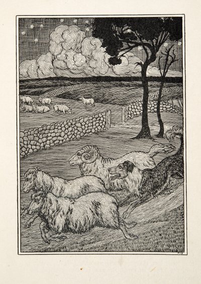 A Hundred Anecdotes of Animals