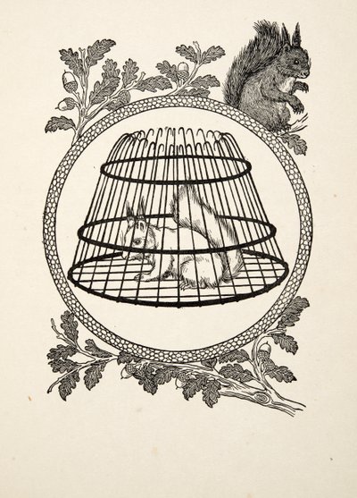 Hayvanların Yüz Anekdotundan Bir Mülteci Sincap, pub. 1924 by Percy J. Billingshurst