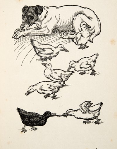 A Hundred Anecdotes of Animals
