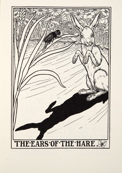 Hare