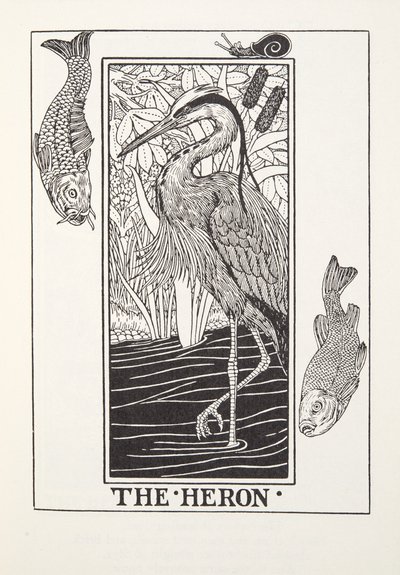 Heron, Fontaine Fables'dan, pub. 1905 (gravür) by Percy J. Billingshurst