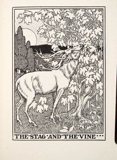 Fontaine Fables, pub