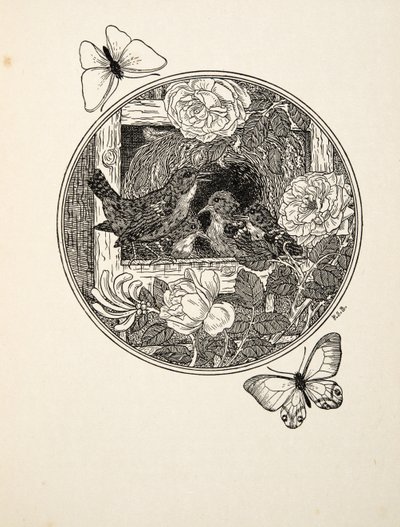 Wrens Şarkı Söylemeyi Öğreniyor, Hayvanların Yüz Anekdotundan, pub. 1924 by Percy J. Billingshurst