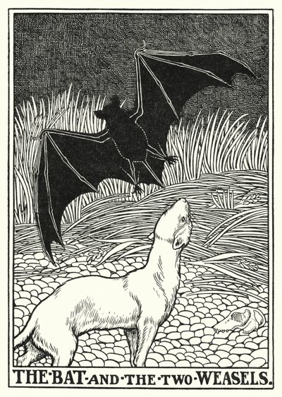 La Fontaine Masalları: Yarasa ve iki gelincik (lito) by Percy James Billinghurst