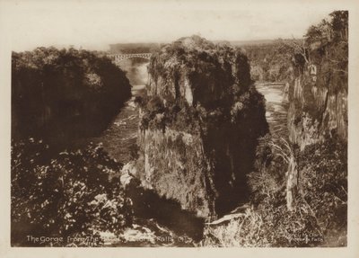 The Gorge from the Hotel, Victoria Falls (s/b fotoğraf) by Percy M. Clark