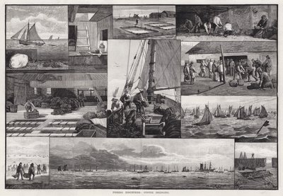 Balıkçılık Endüstrileri, İstiridye Tarama (gravür) by Percy Robert Craft