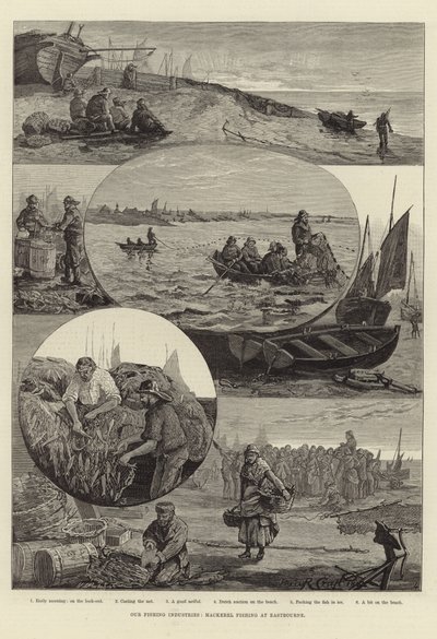 Balıkçılık Endüstrilerimiz: Eastbourne