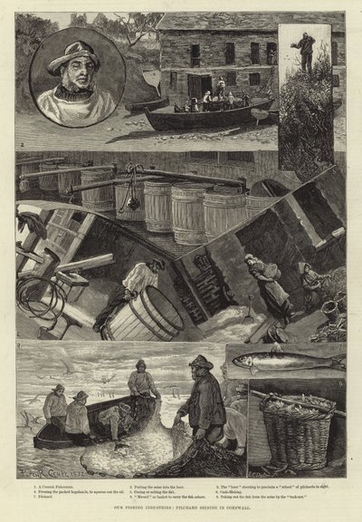 Balıkçılık Endüstrilerimiz: Cornwall
