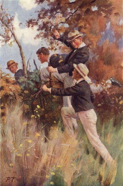 İlk Çitin Üzerinde (renkli taş) by Percy Tarrant