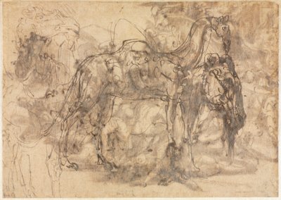 Hayvan Eskizleri (versi) by Perino del Vaga