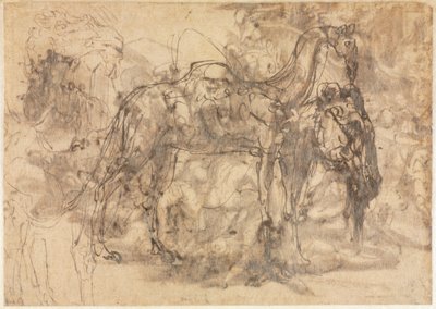 Hayvan Eskizleri verso, c. 154547. by Perino del Vaga