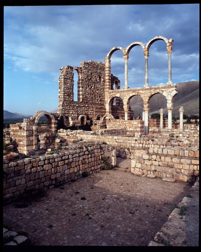 Şehir manzarası, MS 705-710 by Period Umayyad