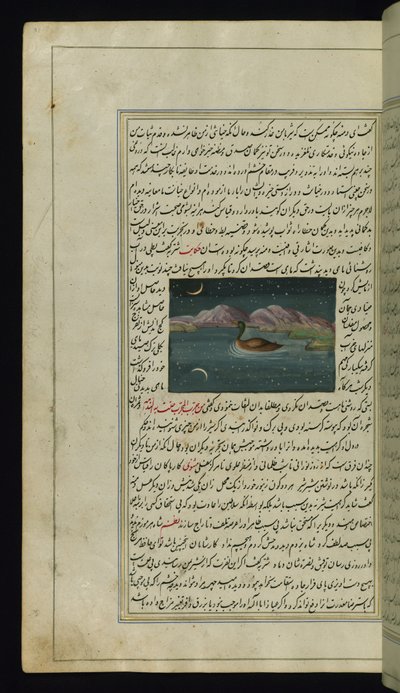 Lights of Canopus