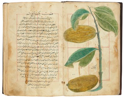 Hassan Bin Baqir Bin Jarrah: Ghalzar Al-Raihain, Qajar Iran by Persian School